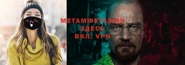 индика Алексин