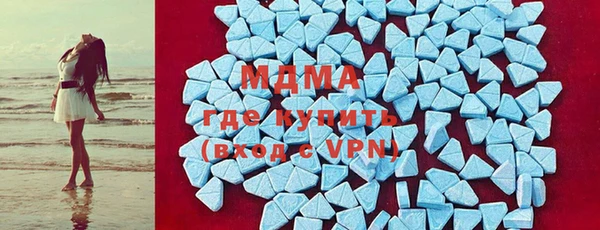 индика Алексин