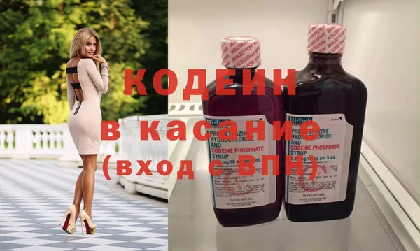 индика Алексин